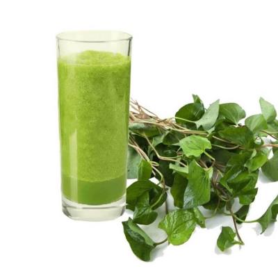 Nước ép rau diếp cá